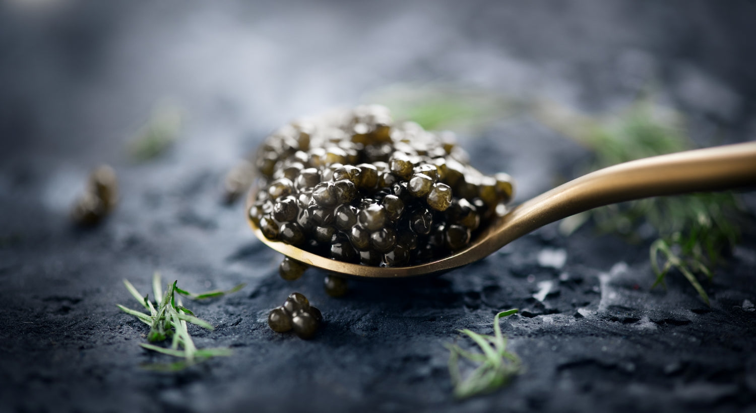 Caviar de esturión spherika en cuchara